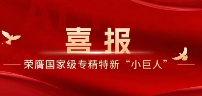 九游体育荣膺国家级专精特新“小巨人”